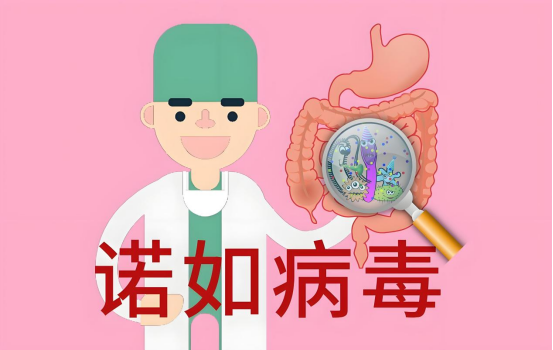 微信图片_20250220084626.png